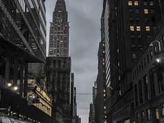 [나폴리탄] 호텔 투숙객을 위한 안내서