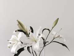 그러니까, 내가 당신을 ....하게 된 건.