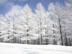 다시 시작되는 새로운 신화