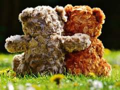 연구실의 딱따구리