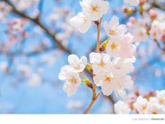 스테레인 1주년 기념