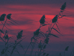 스무 살의 시간