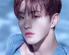 [ 세븐틴 팬픽 / 우호 ] 일진X모범생