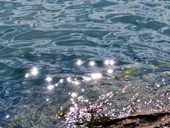 파도 같이 흘러가길.