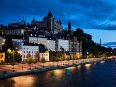 북극여우 관찰일기 07