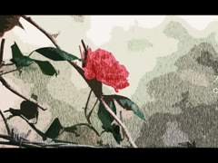 [보쿠로] 가시는 어디로