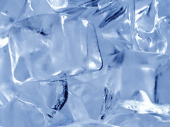 그 애는 이상했다