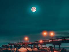 [히지오키] 그래도