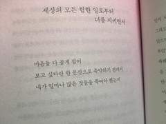 그거 아나, 니 진짜 바보같다