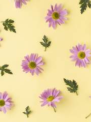 커미션 타입 목록입니다.