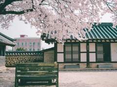 [카디] 나의 첫사랑