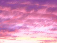 새겨진 사이 下