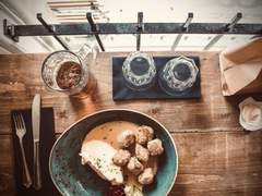 북극여우 관찰일기 08