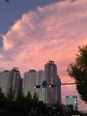 생각나서 적는 시