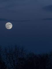 그때, 그것, 우린