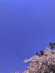 사랑이 눈에 보이는 순간