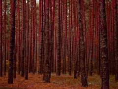 저, 사니와 맞습니다 : Ep. 8(1)