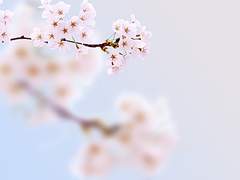 이 마음을 네게 전해도