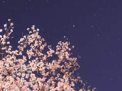 [고래별/해수수아] 시선 (9)