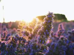 [TH] 생각해보면 모든 날들이 END