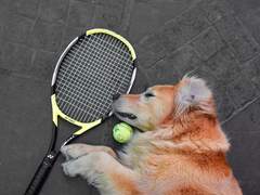 운동하긴 한다니까요: SET A&B