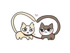 SD 얼뚱고양 커미션