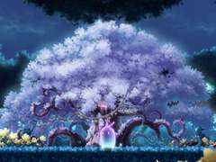 아르카나 스크립트