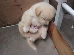 03/12/2021 금요일 10:11am