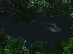 서라벌 화랑들의 나날 13 : 미무(迷霧)