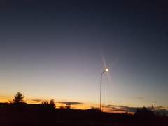 꽃의 죽음 外. IF 회식