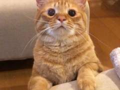 127막내 김여주 모먼트 EP.0