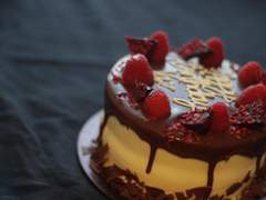 너에게 초콜릿을