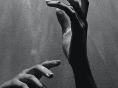 물에 젖은 수건, 약간의 돔 페리뇽.