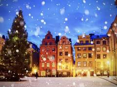 북극여우 관찰일기 09