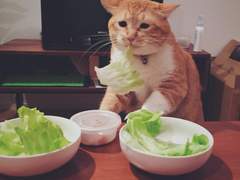 127막내 김여주 모먼트 EP.2