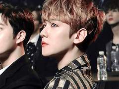 교내 폭군 : 오메가버스 세계관