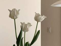 I _ 호선을 그린 입