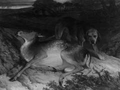 개새끼는 말을 하면 안돼요