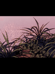 혜오의 연못에는 꽃이 핀다