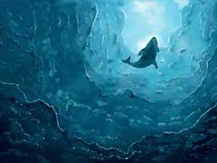 화이트데이 현대au - 로에이