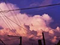 [해리포터] Millia's Summer