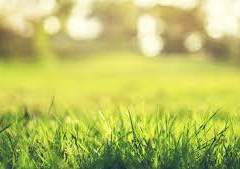 [가온딸기] 어느 가을날 오후 파리 본교에서