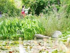 [백민] 잠행나가는 황제 백(틧터