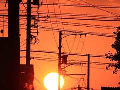 내 마지막 귀신