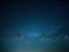 쉿, 저기 말야...