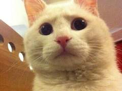 127막내 김여주 모먼트 EP.3