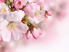 나무꾼과 선녀 -上-