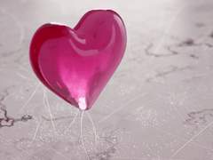 [ 휴버트 큐피드 랙터 / XY / 아우툼니스 ]