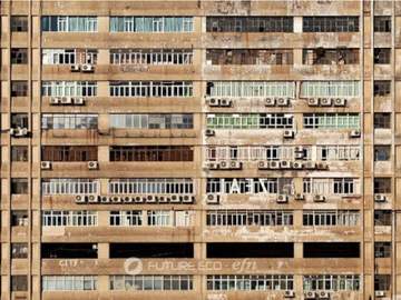 버려진 사람들이 잃은 것을 대신해