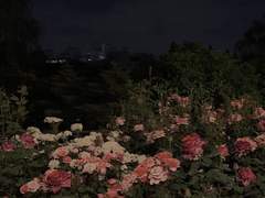 곧 4화 들고 오겠습니다!